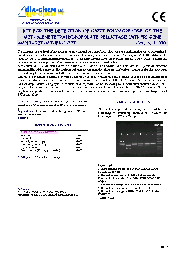 1.300* Ampli set MTHFR C677T  