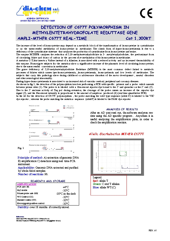 1.300RT** Ampli set MTHFR C677T  